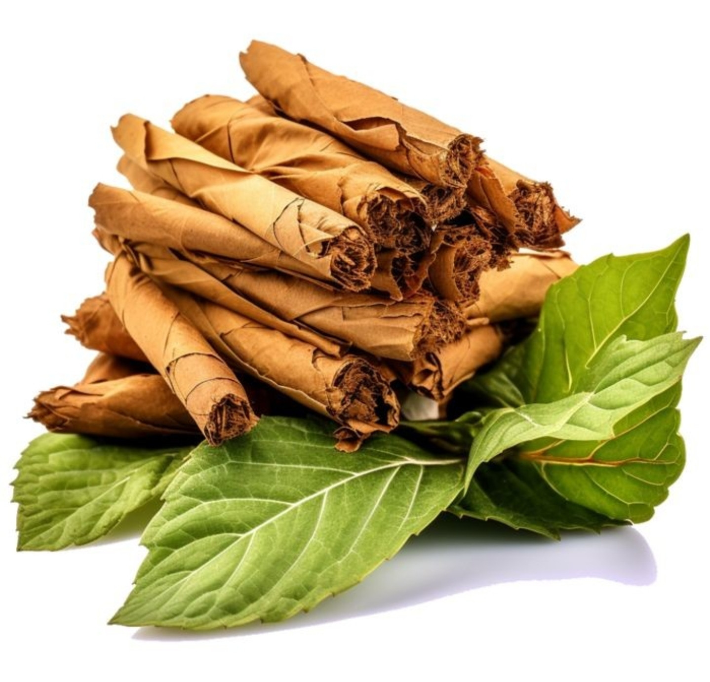 Tobacco and agricultural processing